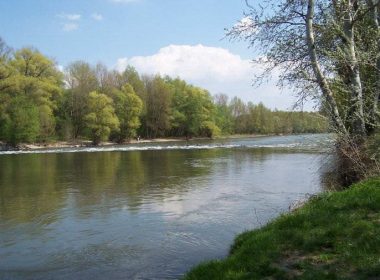 Znázornenie privlastňovania si rýb.